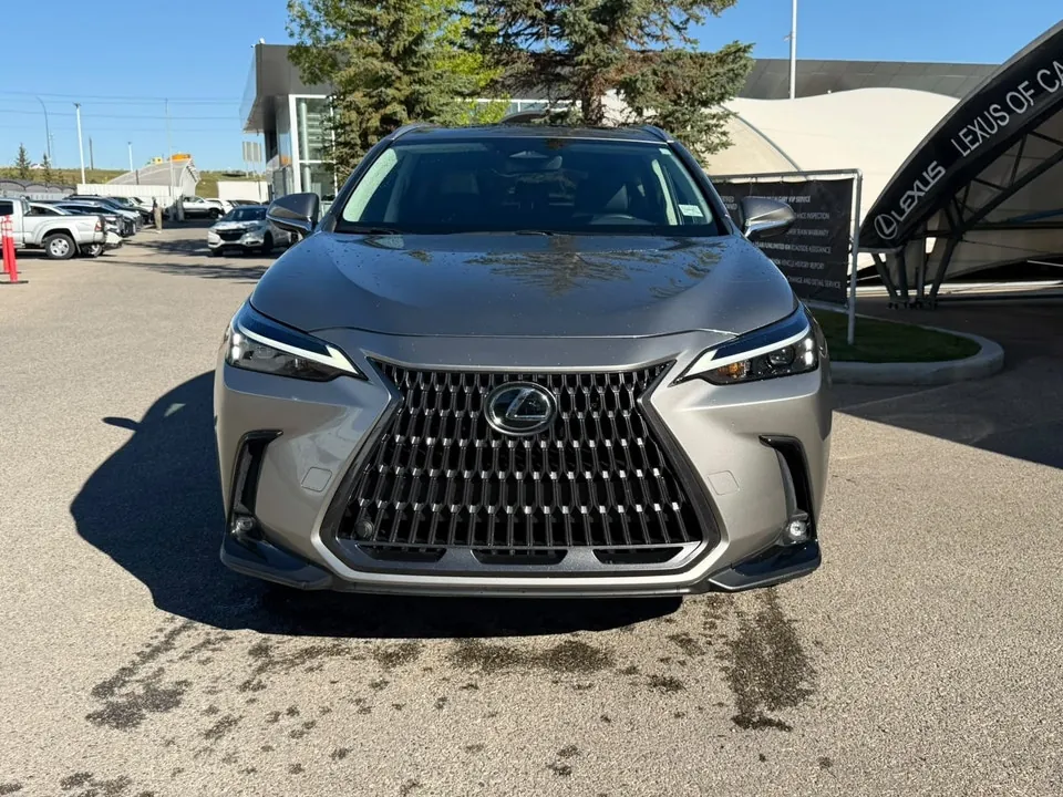 Lexus Nx 350 2024 photo 4