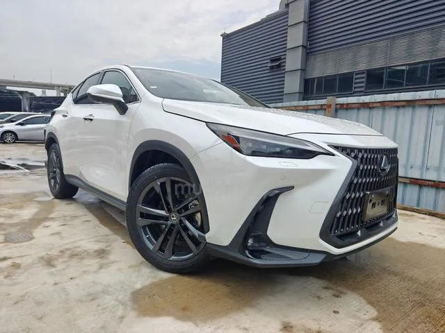 Lexus Nx 250