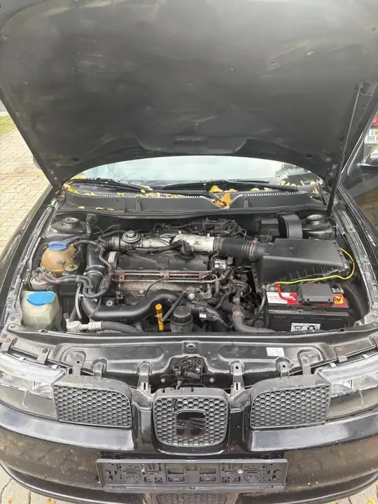 Seat Cupra 2004 photo 3