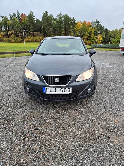 Seat Ibiza 2010 photo 2