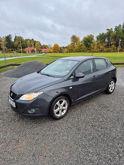 Seat Ibiza 2010 photo 5