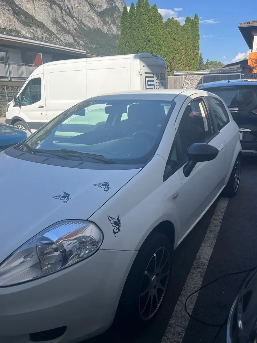 Fiat Grande Punto 2008 photo 2