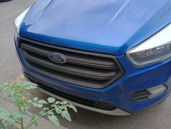 Ford Escape 2017 photo 3