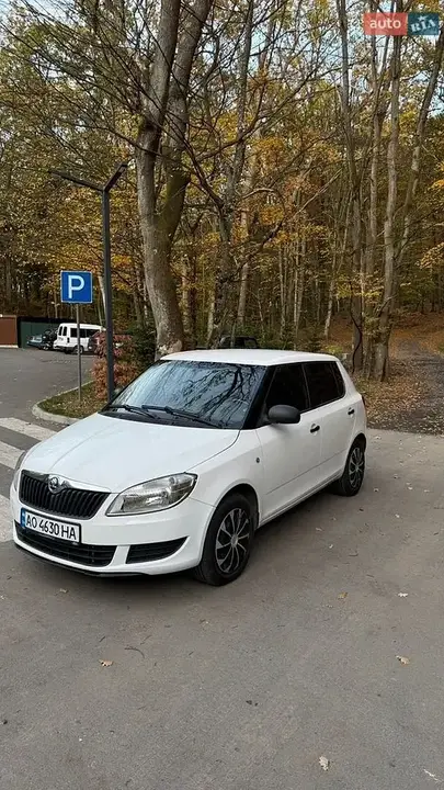 Skoda Fabia 2014 photo 2