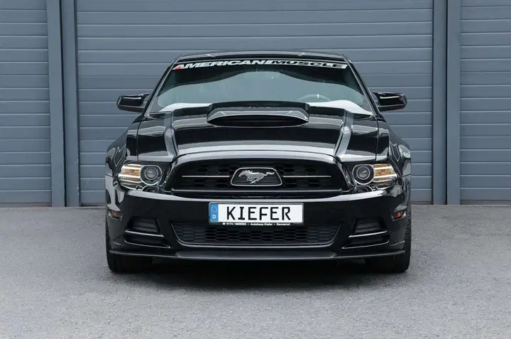 Ford Mustang 2013 photo 2