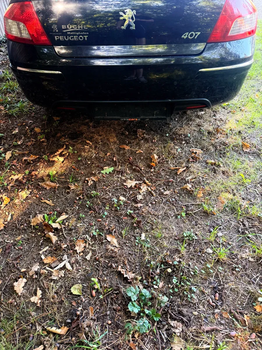 Peugeot 407 2009 photo 3