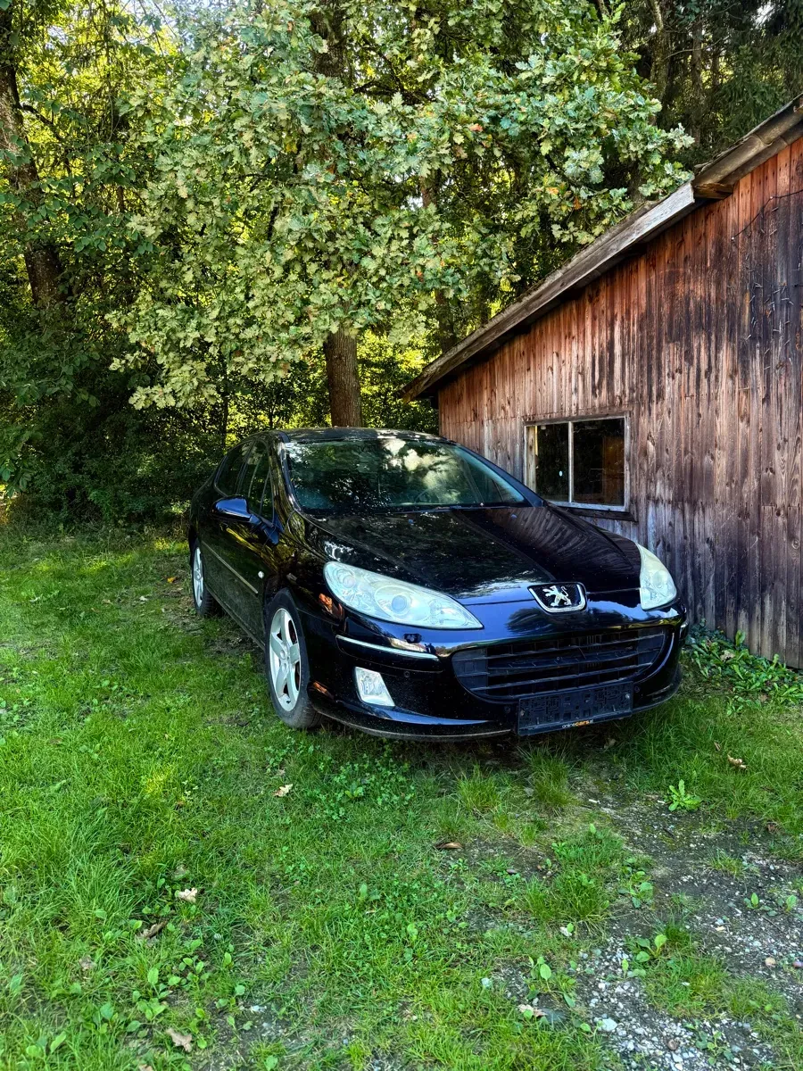 Peugeot 407