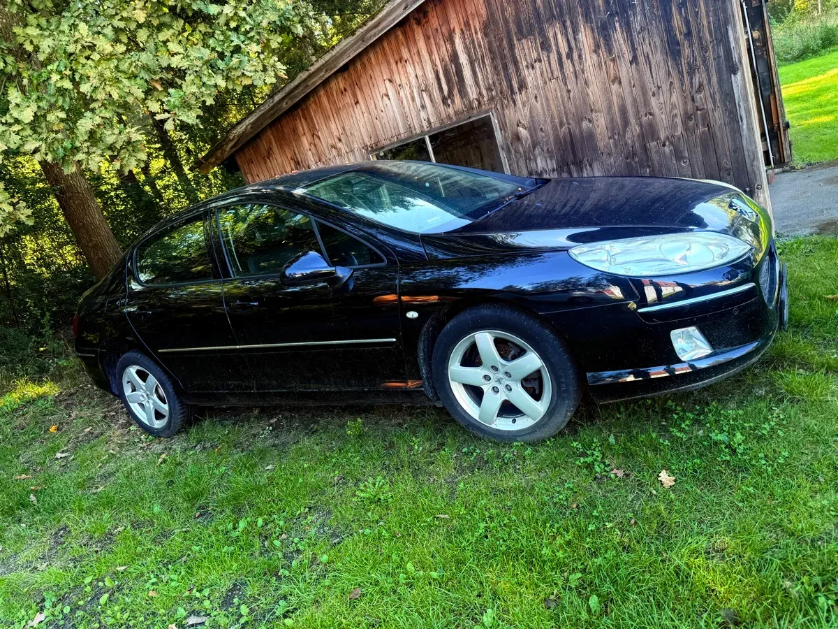 Peugeot 407 2009 photo 2