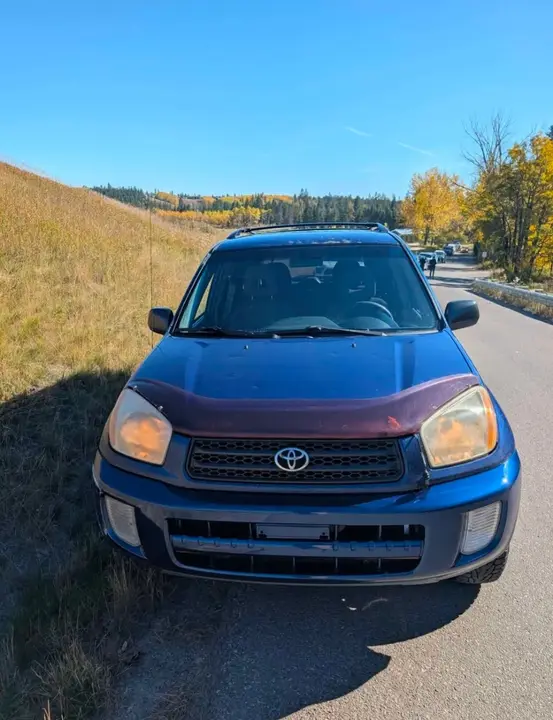Toyota Rav4 2002 photo 2