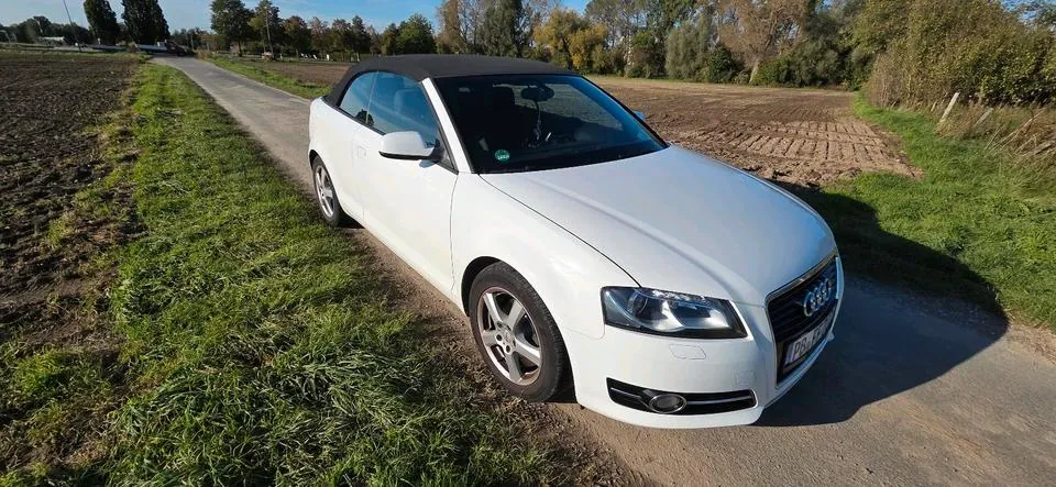 Audi A3 Cabrio