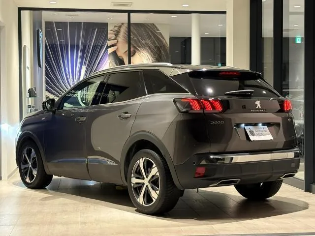 Peugeot 3008 2021 photo 3