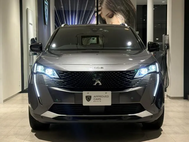 Peugeot 3008 2021 photo 2