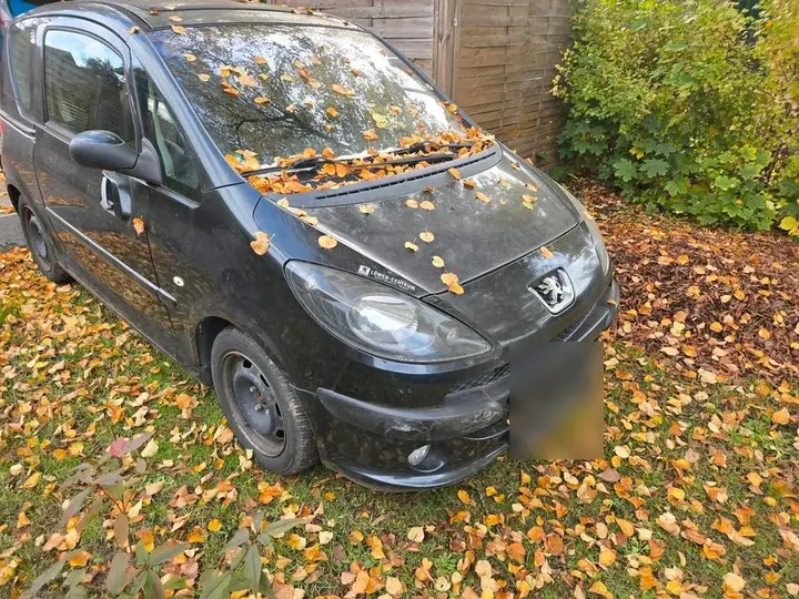 Peugeot 1007