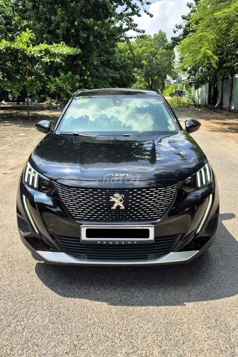 Peugeot 2008 2021 photo 3
