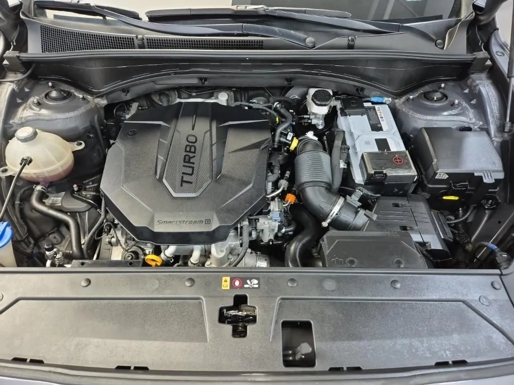 Hyundai Santa Fe 2021 photo 5