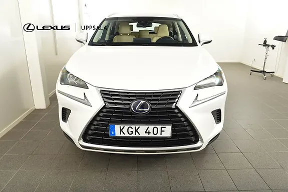 Lexus Nx300H 2019 photo 5