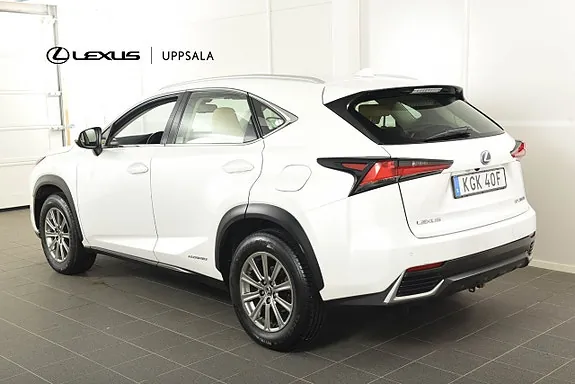Lexus Nx300H 2019 photo 2