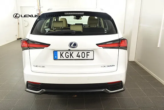 Lexus Nx300H 2019 photo 4