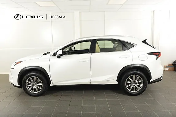 Lexus Nx300H 2019 photo 3