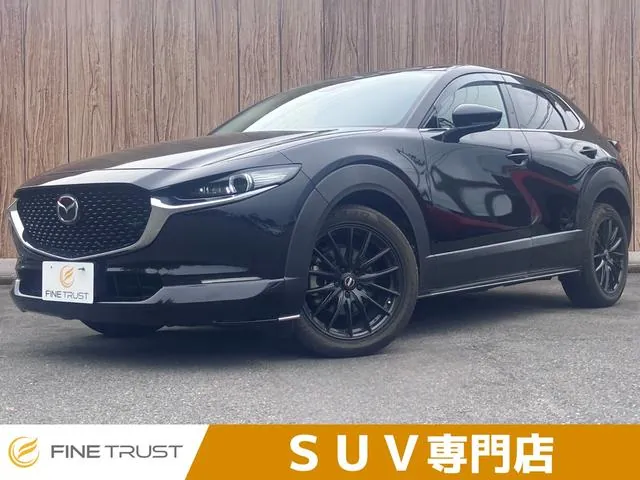 Mitsubishi Cx-3