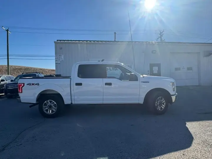 Ford F-150 2015 photo 2