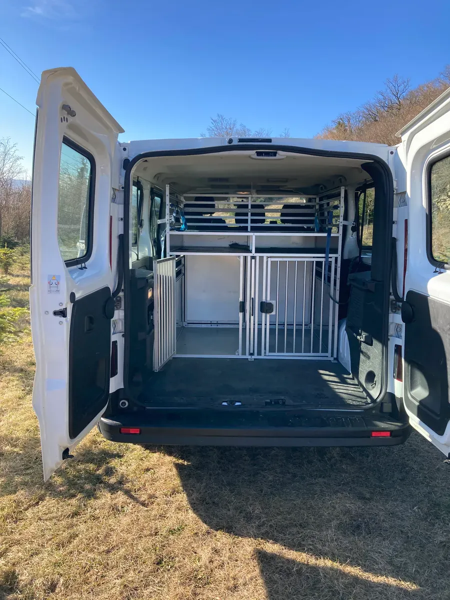 Renault Trafic 2018 photo 2