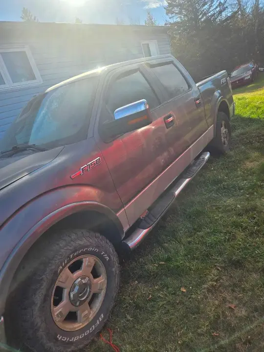 Ford F-150 2010 photo 3