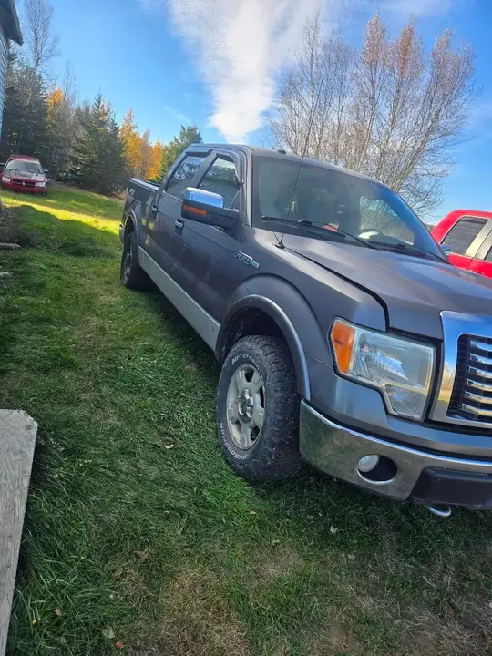 Ford F-150 2010 photo 2