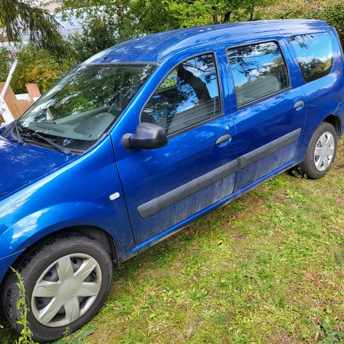 Dacia Logan 2010 photo 2