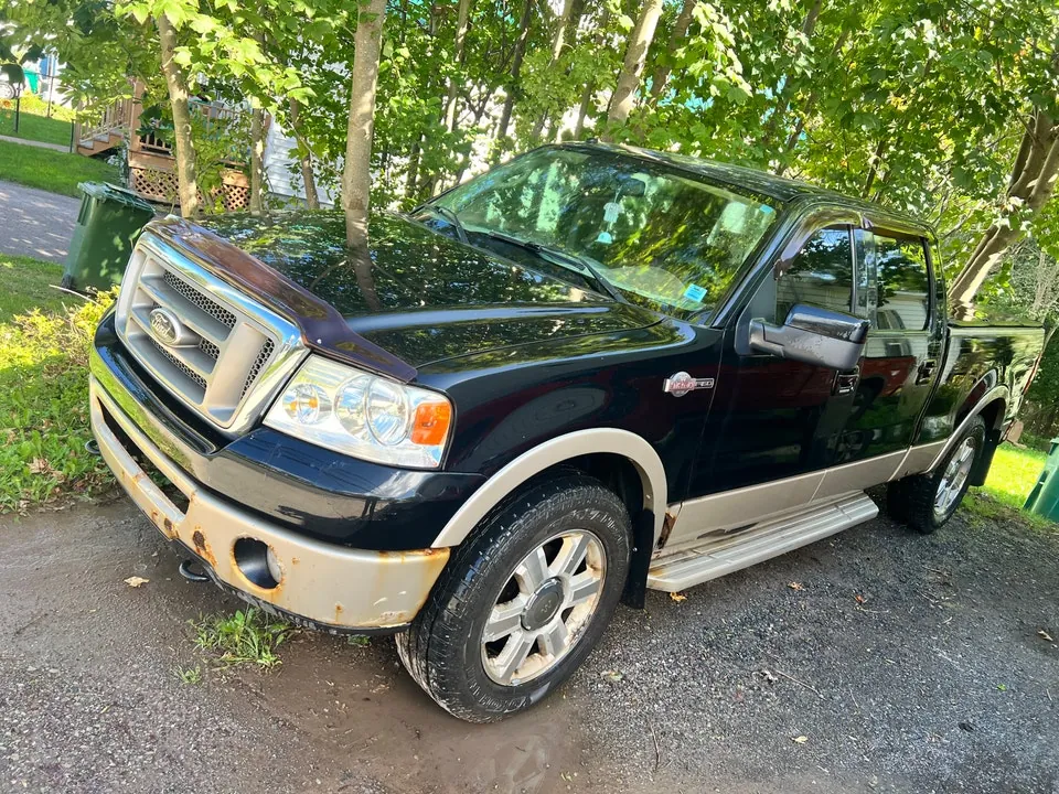 Ford F-150 2008 photo 3