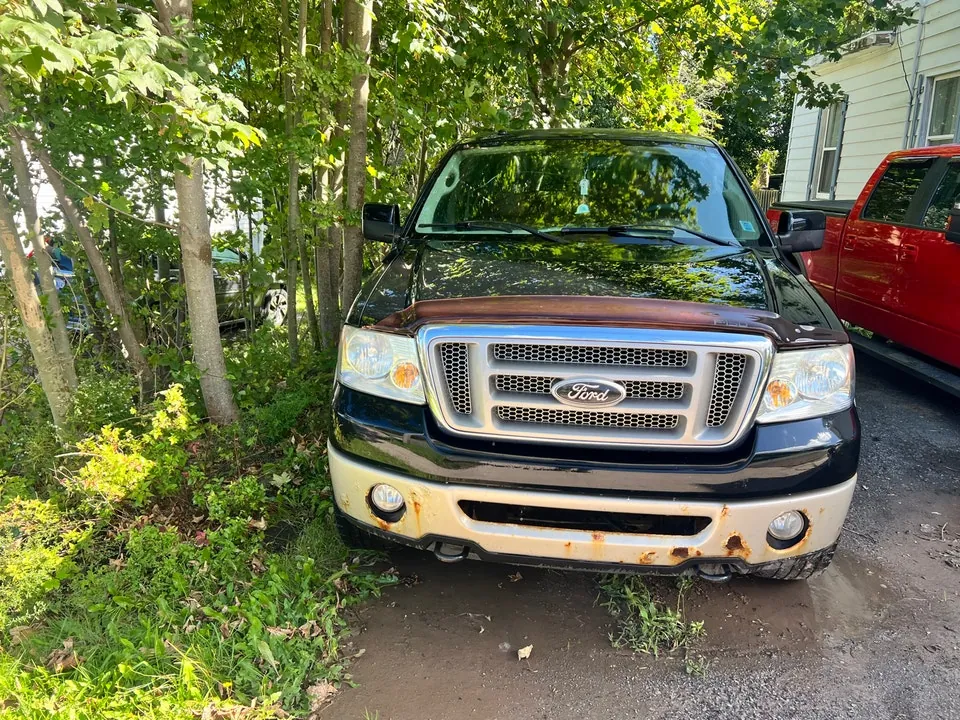 Ford F-150 2008 photo 2