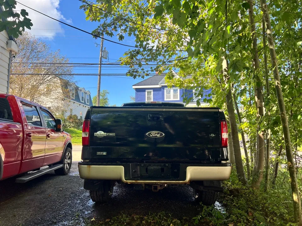 Ford F-150 2008 photo 4
