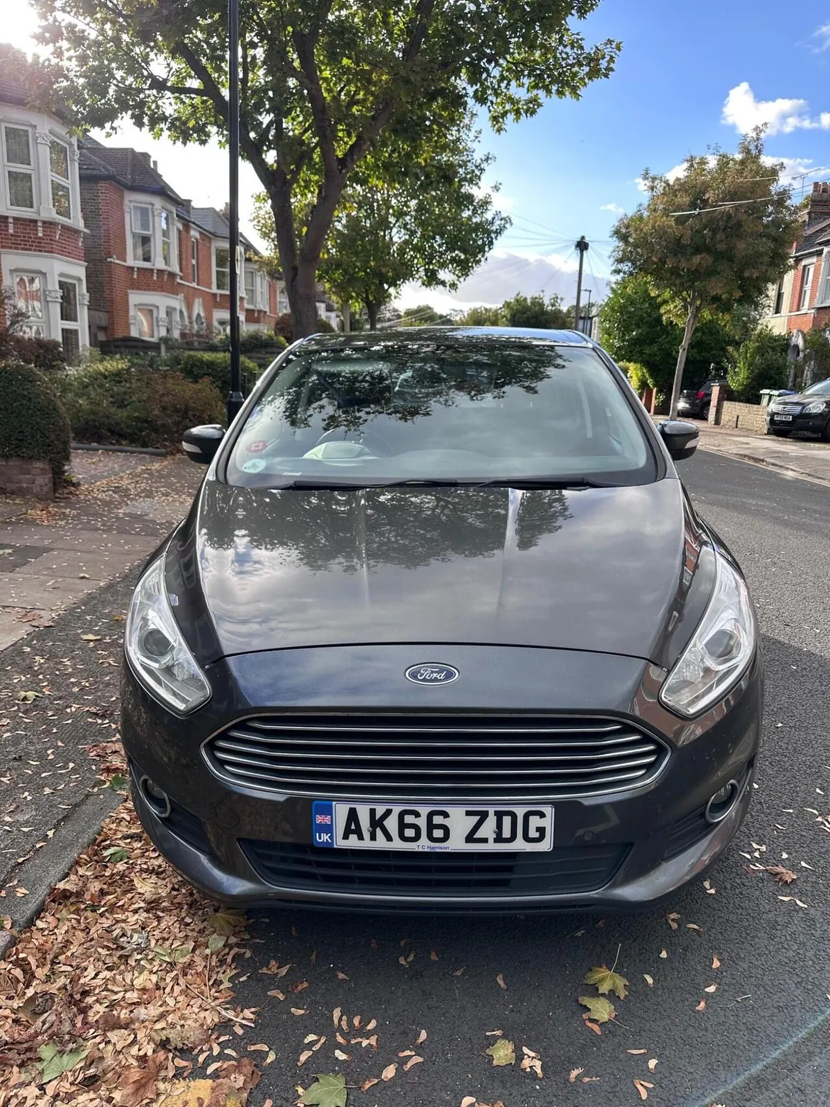 Ford S-Max 2016 photo 3