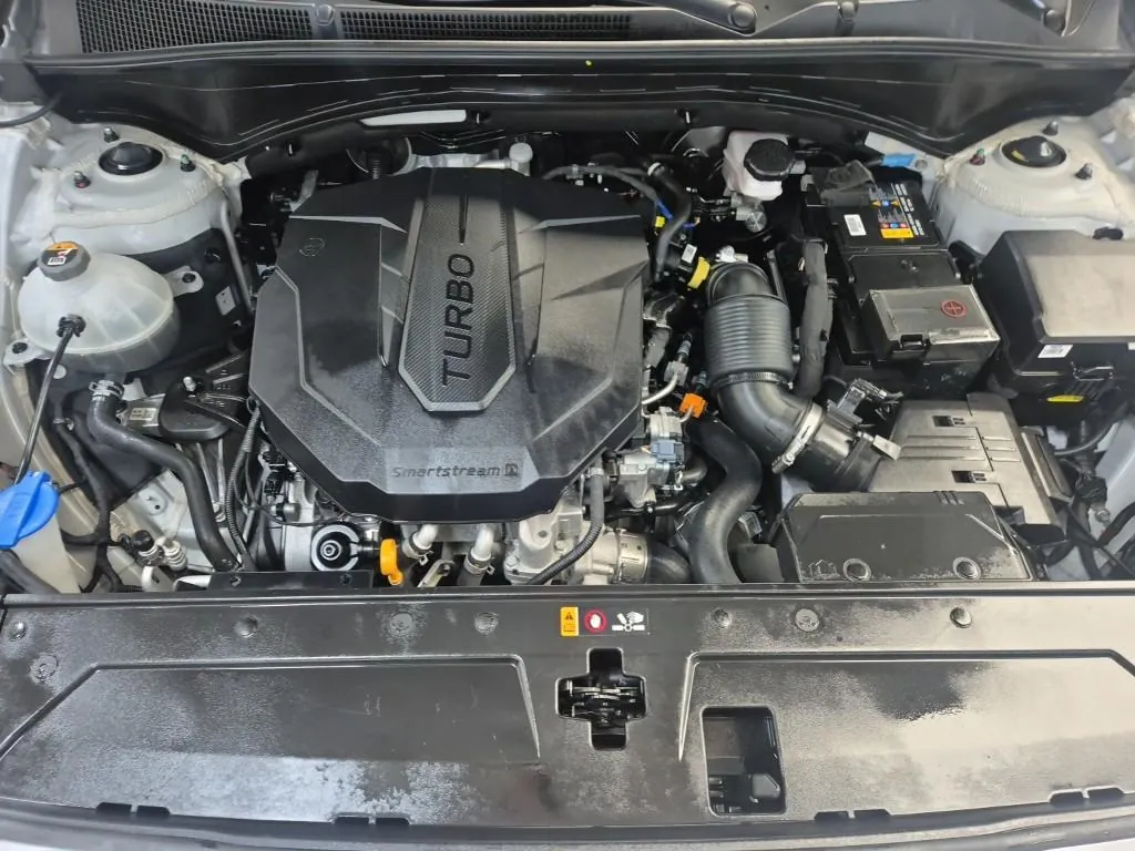 Hyundai Santa Fe 2021 photo 5