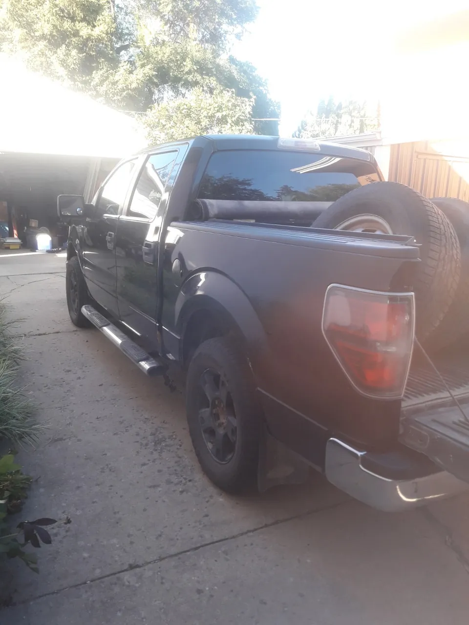 Ford F-150 2010 photo 3