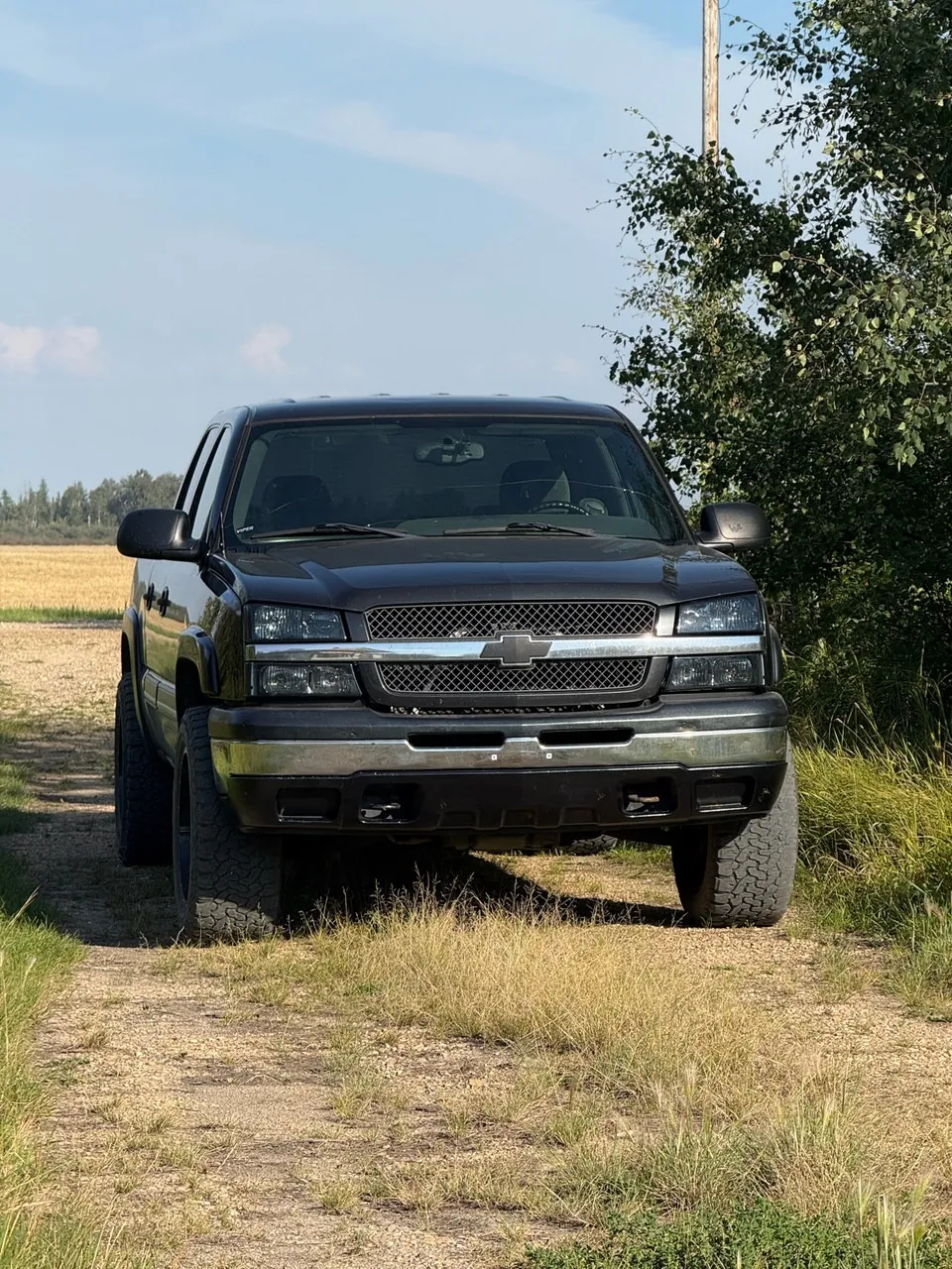 Chevrolet Silverado 1500 2005 photo 2