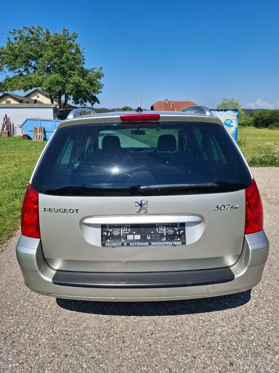 Peugeot 307 2007 photo 3
