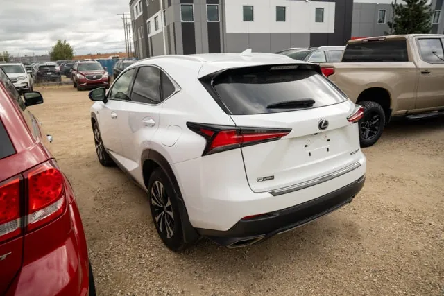 Lexus Nx 2019 photo 4