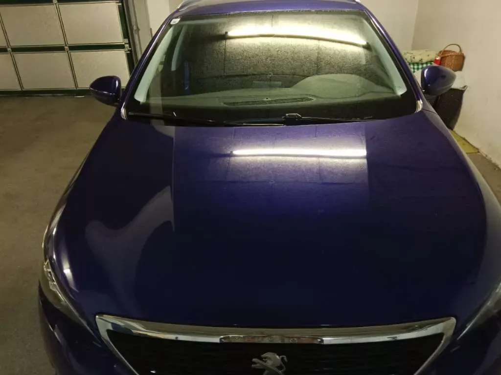 Peugeot 308 2019 photo 3