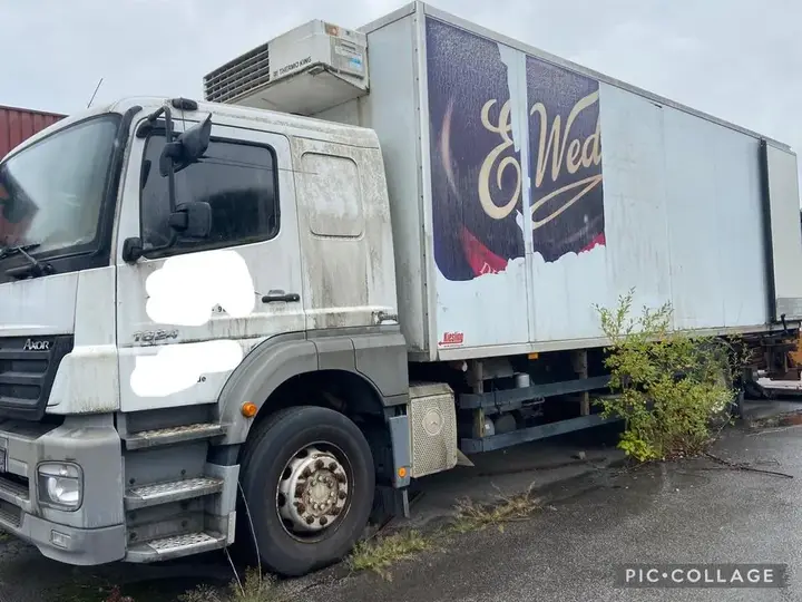 Mercedes-Benz Axor