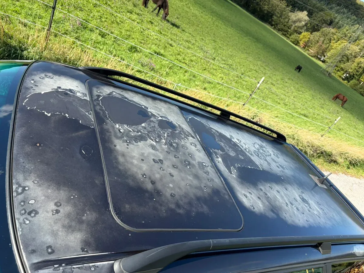 Audi 80 1992 photo 3