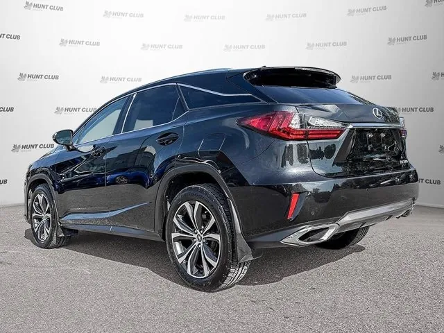 Lexus Rx 2019 photo 4