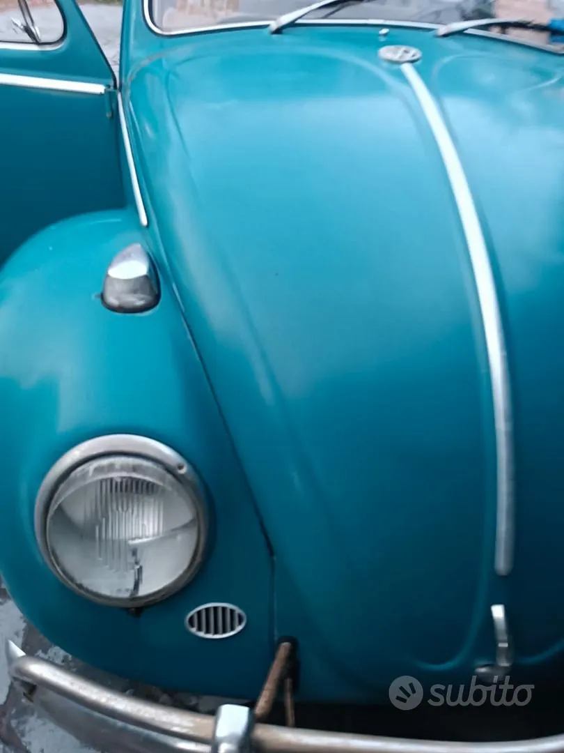 Volkswagen Maggiolino