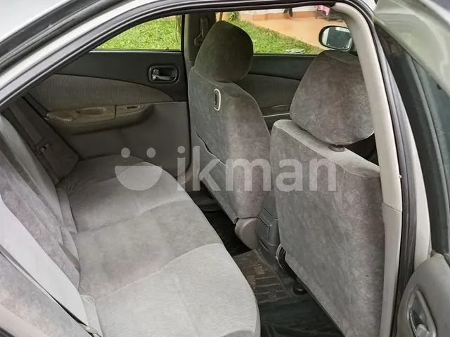 Nissan Sunny 2002 photo 5