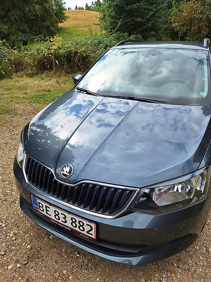 Skoda Fabia 2017 photo 4