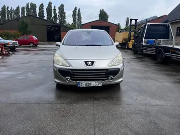 Peugeot 307 2007 photo 2