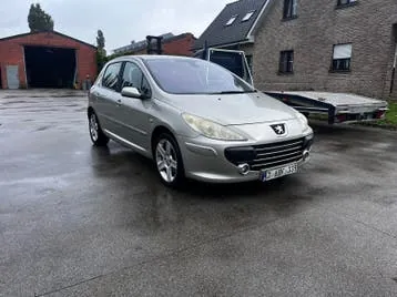 Peugeot 307 2007 photo 3