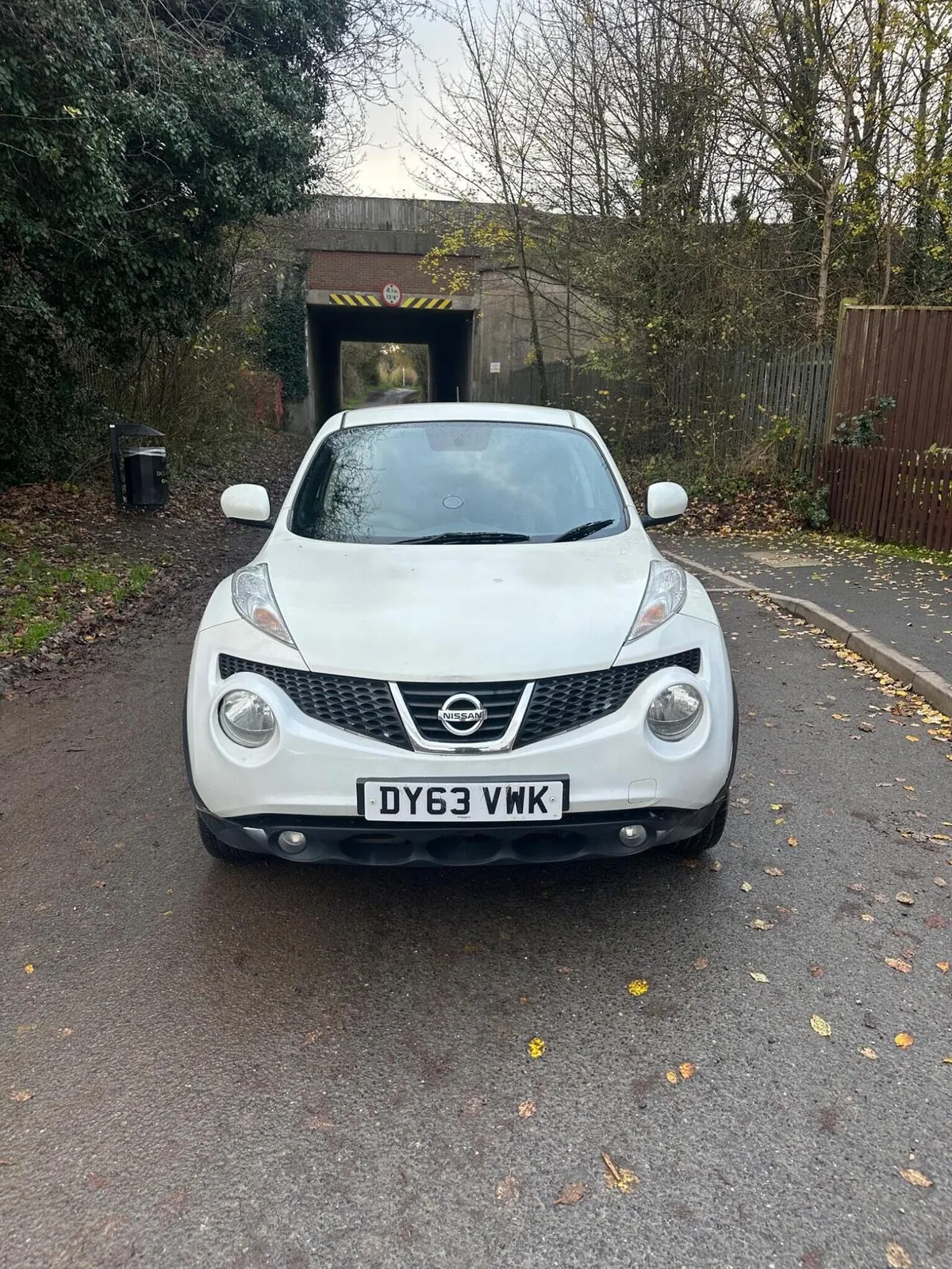 Nissan Juke 2013 photo 2