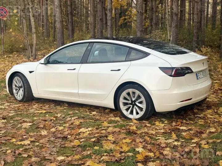Tesla Model 3 2021 photo 2
