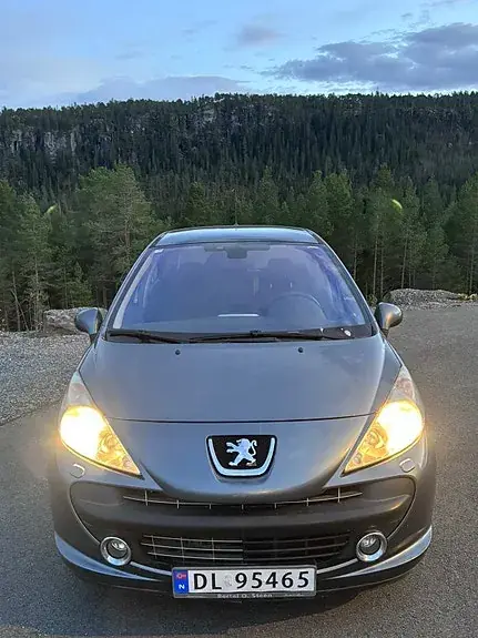 Peugeot 207 2008 photo 2